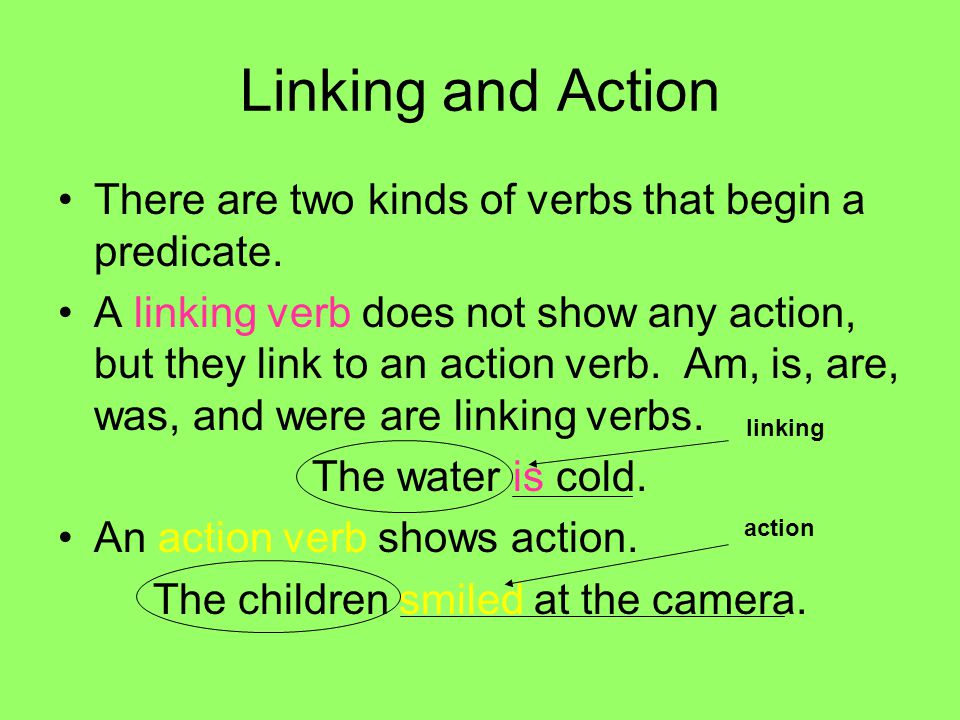 Linking and Action There are two kinds of verbs that begin a predicate.