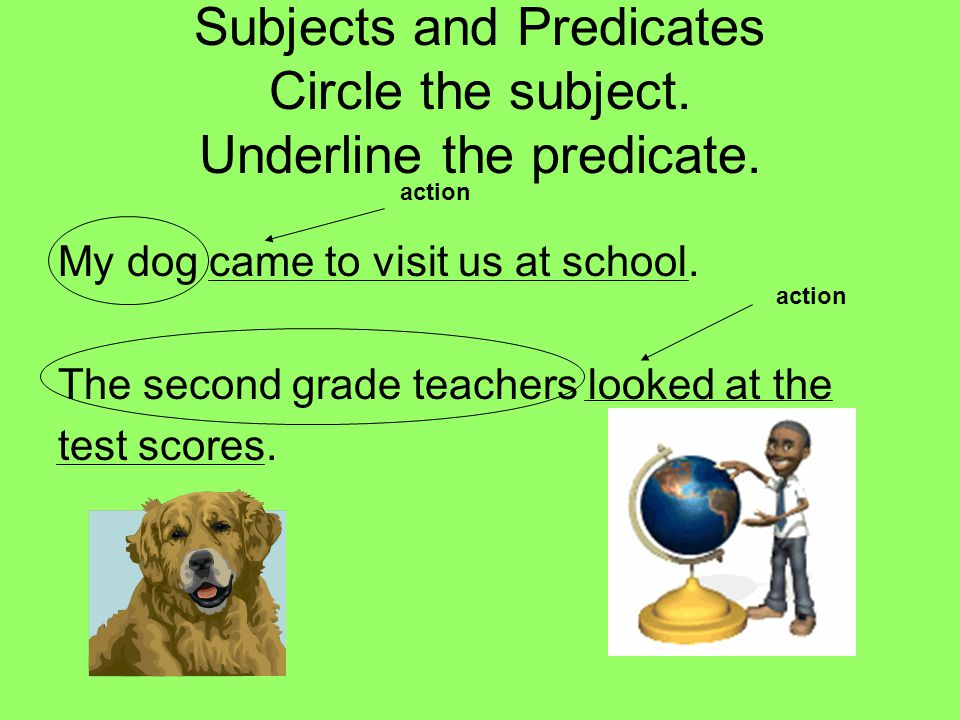 Subjects and Predicates Circle the subject. Underline the predicate.