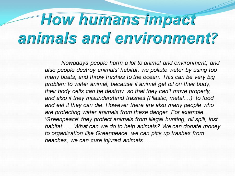 How humans impact animals and environment .