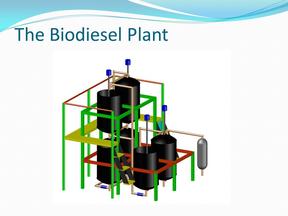 The Biodiesel Plant