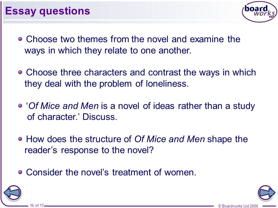 Mice And Men Essay Questions