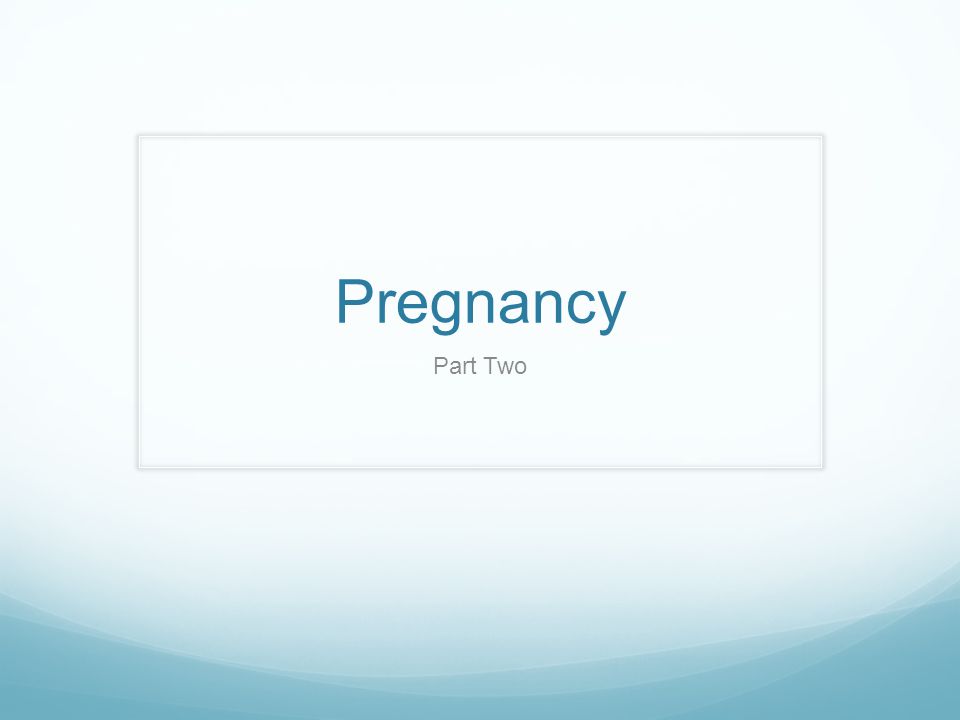Pregnancy Part Two