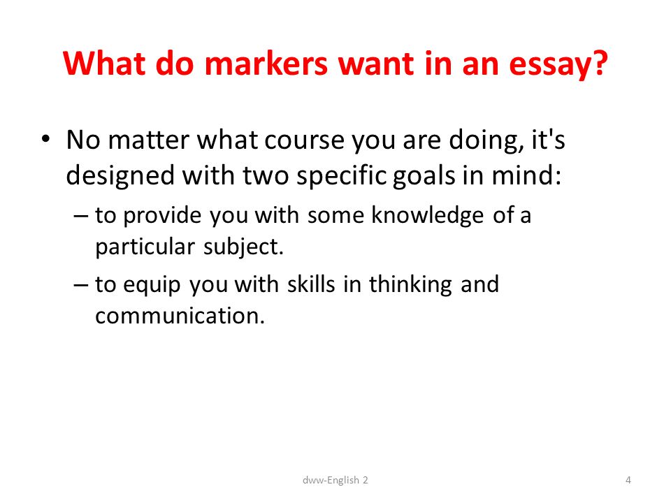 Where can i go to type an essay online picture 1