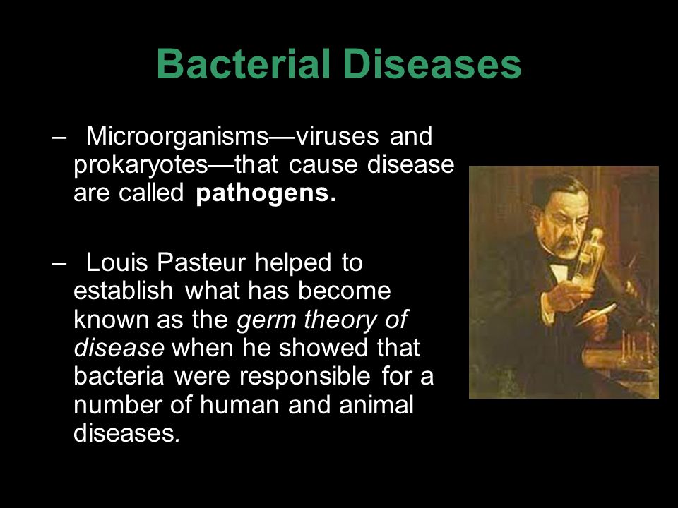 Essay On Microorganisms