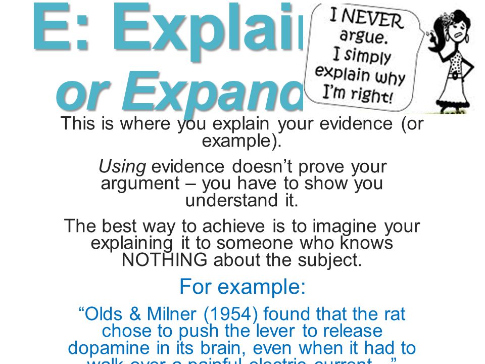 Academic Argument Essay Example