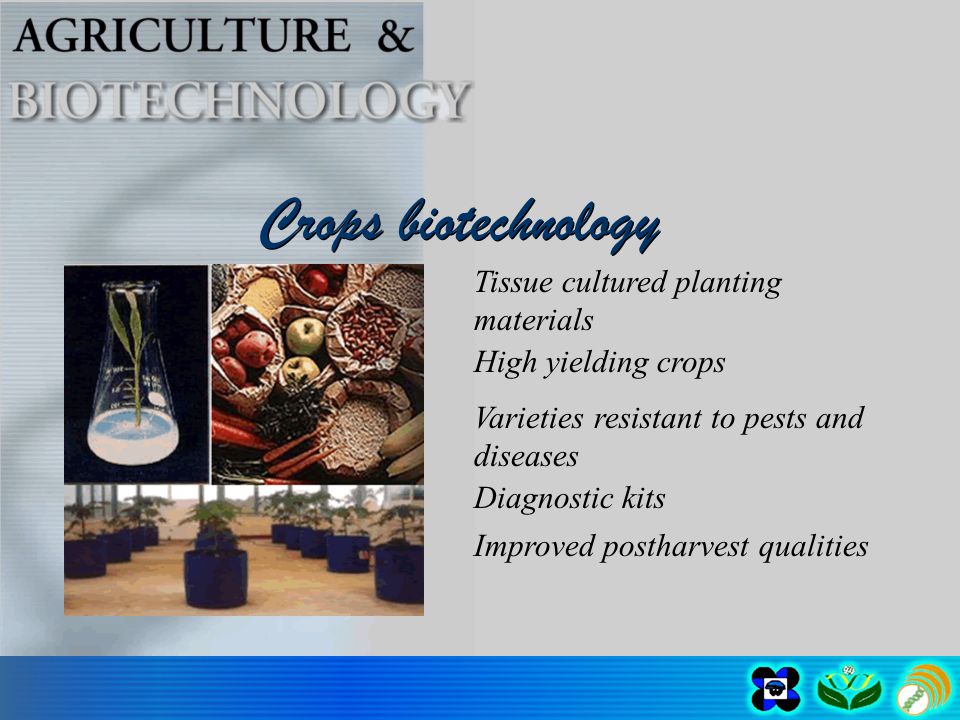 Crops biotechnology Varieties resistant to pests and diseases High yielding crops Improved postharvest qualities Tissue cultured planting materials Diagnostic kits