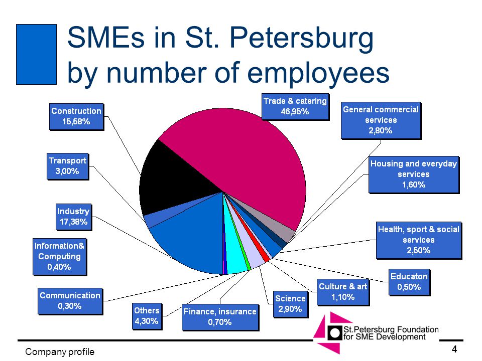 3 Company profile Number of SMEs per 1000 inhabitants