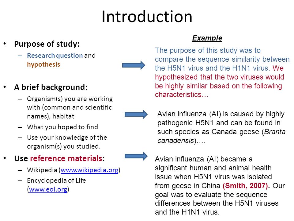 Research Writing