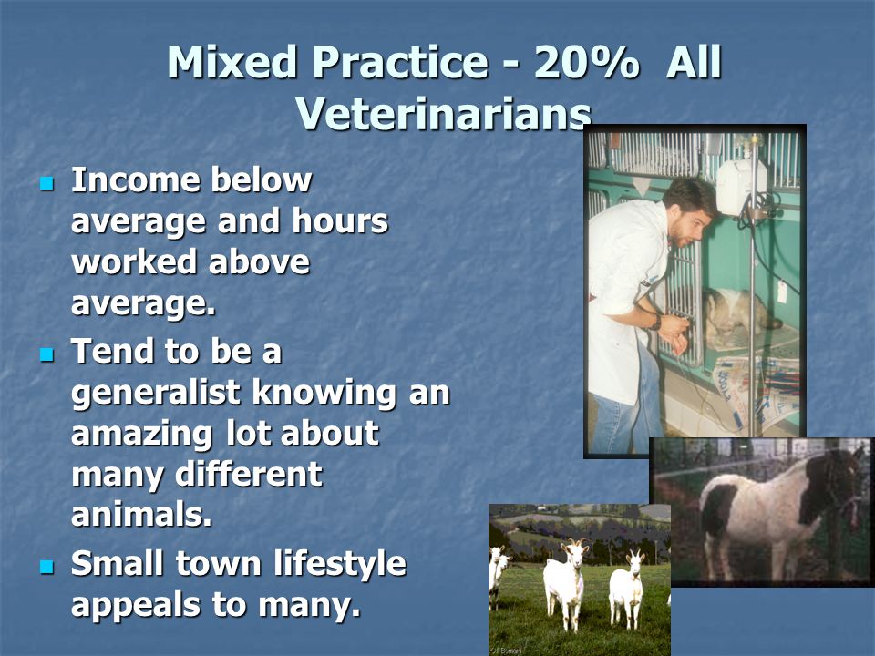 Mixed Practice - 20% All Veterinarians Income below average and hours worked above average.