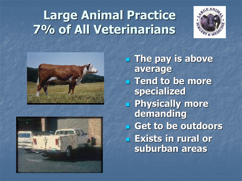 Large Animal Practice 7% of All Veterinarians Large Animal Practice 7% of All Veterinarians The pay is above average The pay is above average Tend to be more specialized Tend to be more specialized Physically more demanding Physically more demanding Get to be outdoors Get to be outdoors Exists in rural or suburban areas Exists in rural or suburban areas