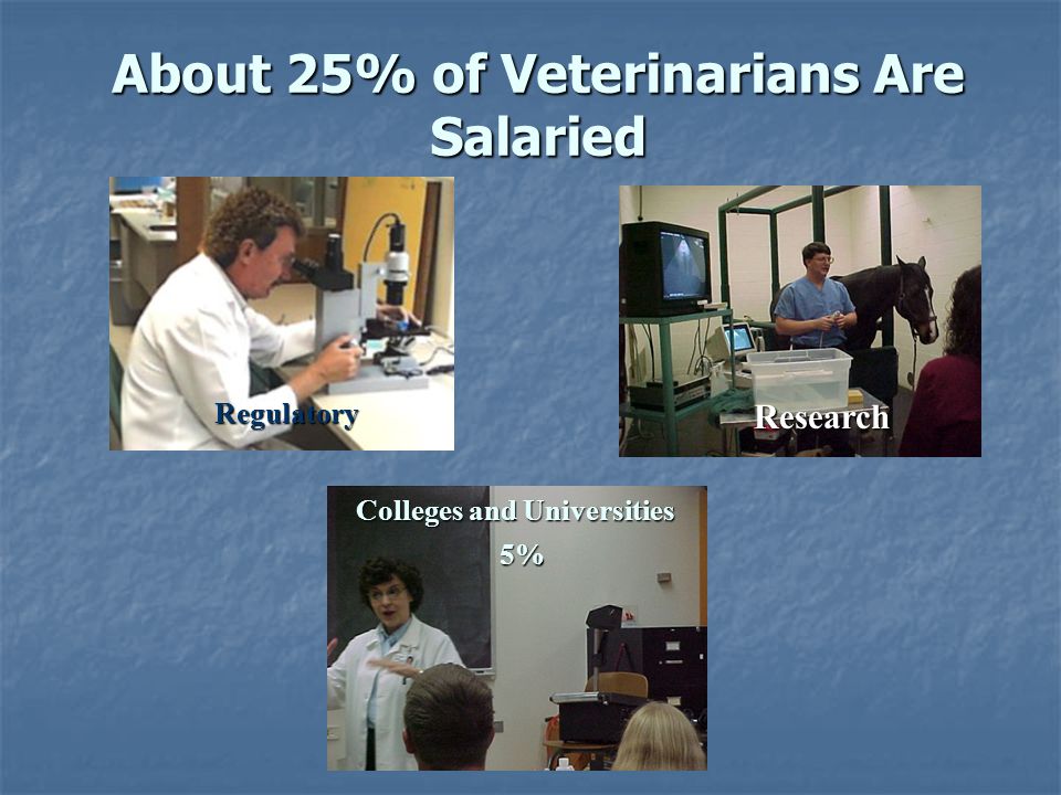 About 25% of Veterinarians Are Salaried Colleges and Universities 5% Regulatory Research