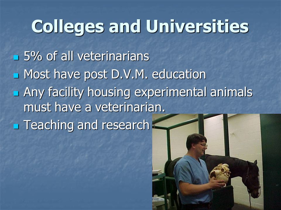 5% of all veterinarians 5% of all veterinarians Most have post D.V.M.