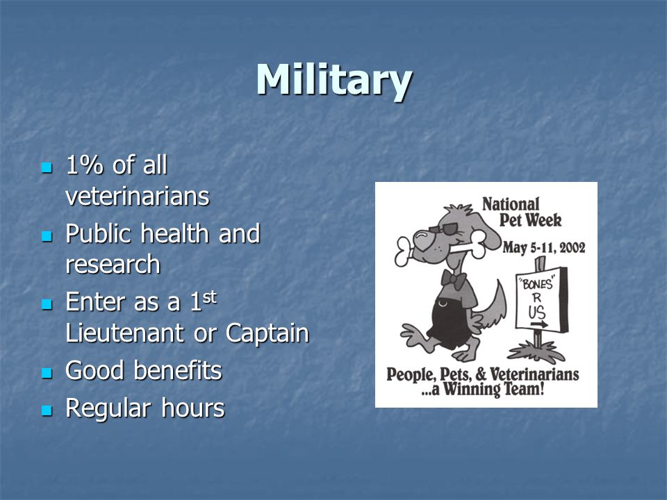 Military 1% of all veterinarians 1% of all veterinarians Public health and research Public health and research Enter as a 1 st Lieutenant or Captain Enter as a 1 st Lieutenant or Captain Good benefits Good benefits Regular hours Regular hours
