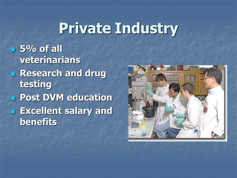 Private Industry 5% of all veterinarians 5% of all veterinarians Research and drug testing Research and drug testing Post DVM education Post DVM education Excellent salary and benefits Excellent salary and benefits