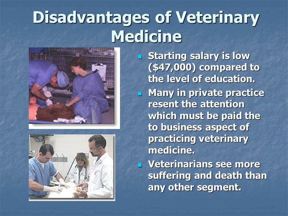 Disadvantages of Veterinary Medicine Starting salary is low ($47,000) compared to the level of education.