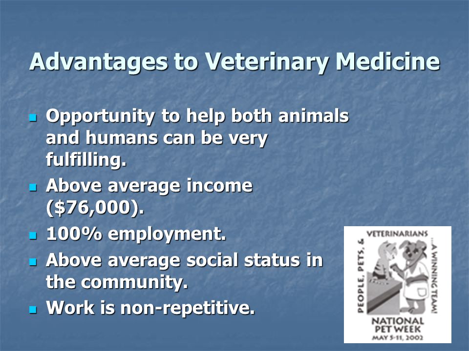 Advantages to Veterinary Medicine Opportunity to help both animals and humans can be very fulfilling.