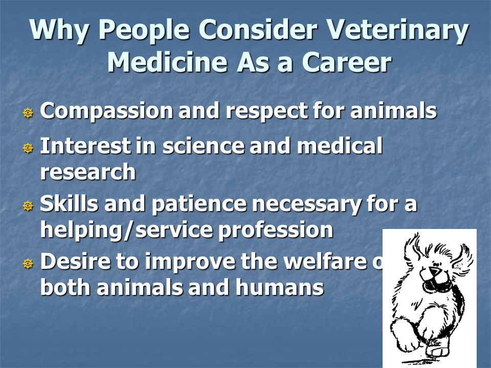 Why People Consider Veterinary Medicine As a Career  Compassion and respect for animals  Interest in science and medical research  Skills and patience necessary for a helping/service profession  Desire to improve the welfare of both animals and humans