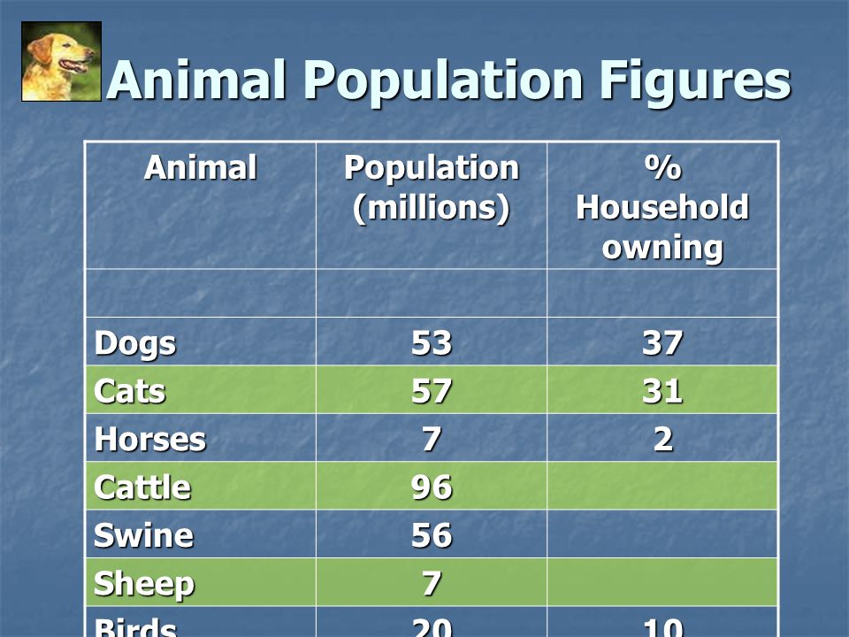 Animal Population Figures Animal Population (millions) % Household owning Dogs5337 Cats5731 Horses72 Cattle96 Swine56 Sheep7 Birds2010