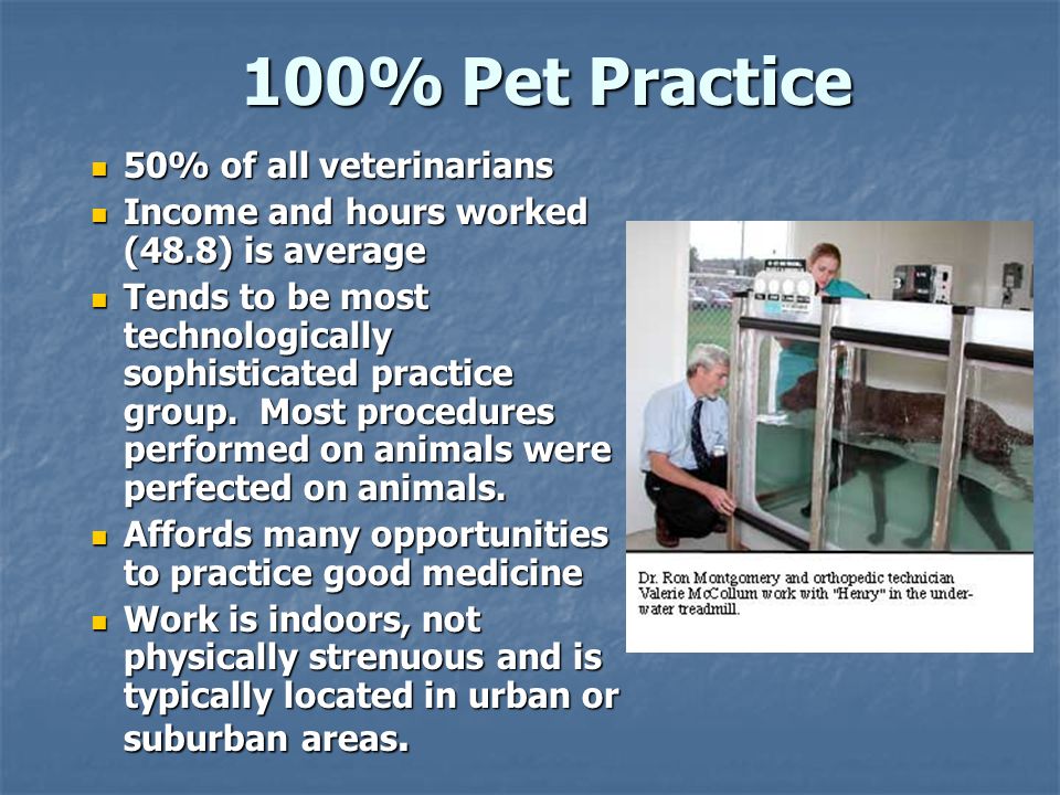 100% Pet Practice 100% Pet Practice 50% of all veterinarians 50% of all veterinarians Income and hours worked (48.8) is average Income and hours worked (48.8) is average Tends to be most technologically sophisticated practice group.