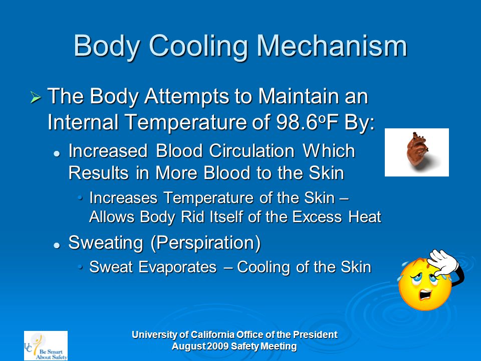 University of California Office of the President August 2009 Safety Meeting Body Cooling Mechanism  The Body Attempts to Maintain an Internal Temperature of 98.6 o F By: Increased Blood Circulation Which Results in More Blood to the Skin Increased Blood Circulation Which Results in More Blood to the Skin Increases Temperature of the Skin – Allows Body Rid Itself of the Excess HeatIncreases Temperature of the Skin – Allows Body Rid Itself of the Excess Heat Sweating (Perspiration) Sweating (Perspiration) Sweat Evaporates – Cooling of the SkinSweat Evaporates – Cooling of the Skin