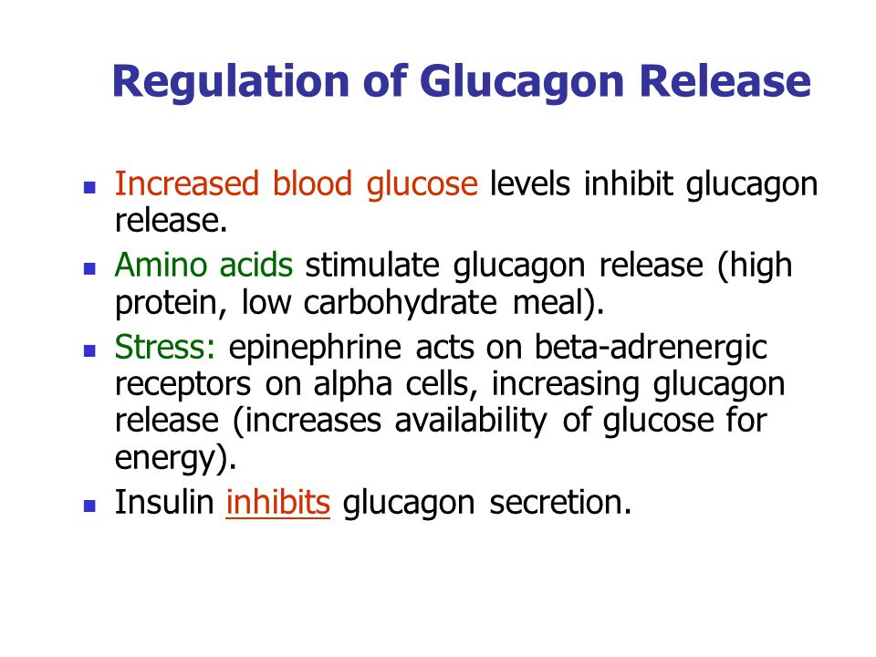 Beta Agonists Stimulate Insulin Release Diet Review