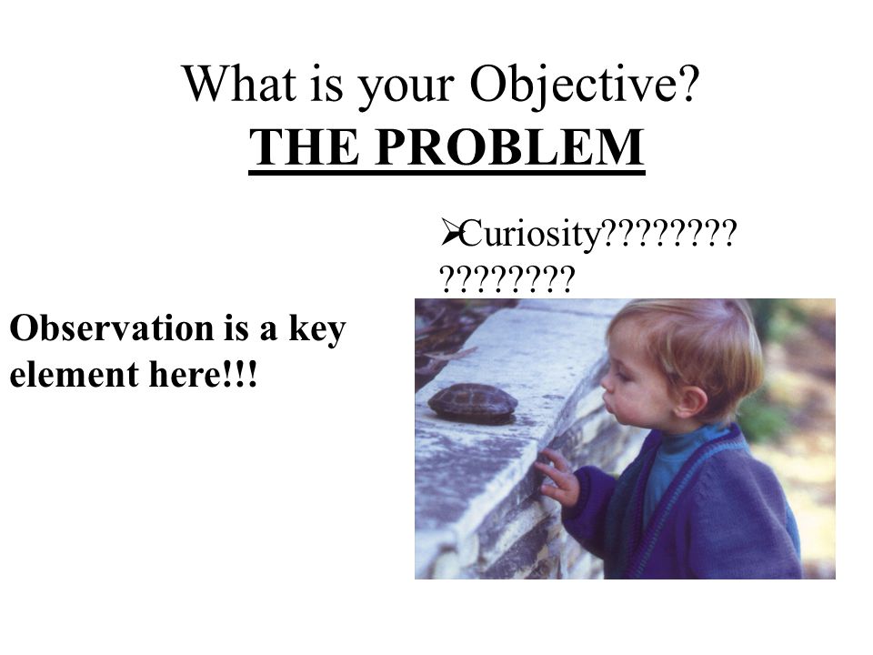What is your Objective. THE PROBLEM  Curiosity .