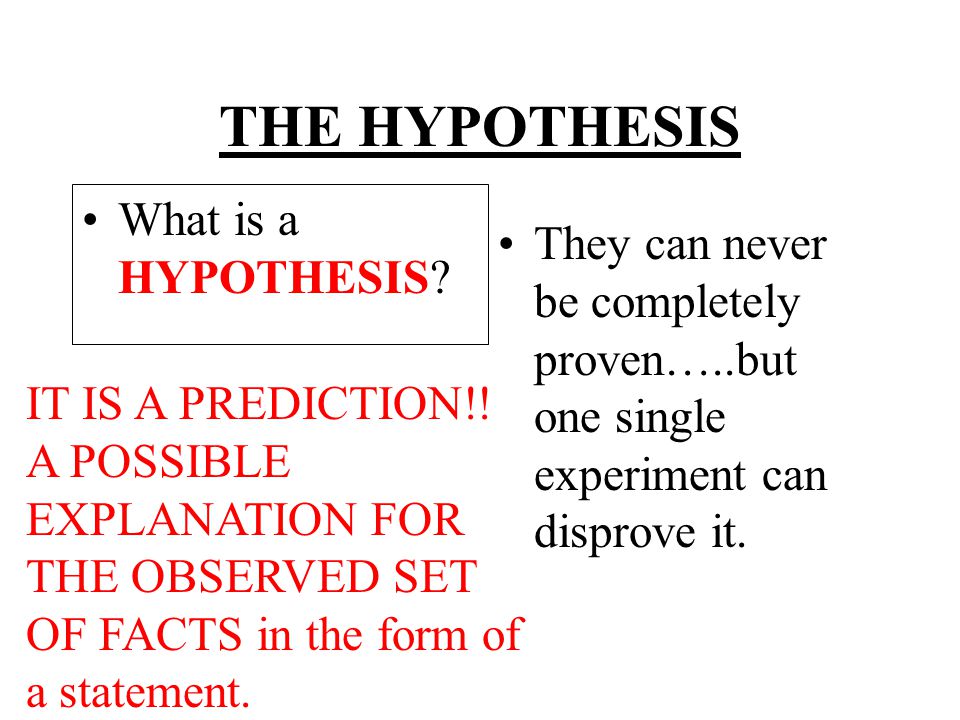 THE HYPOTHESIS What is a HYPOTHESIS.