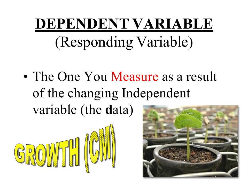 DEPENDENT VARIABLE (Responding Variable) The One You Measure as a result of the changing Independent variable (the data)