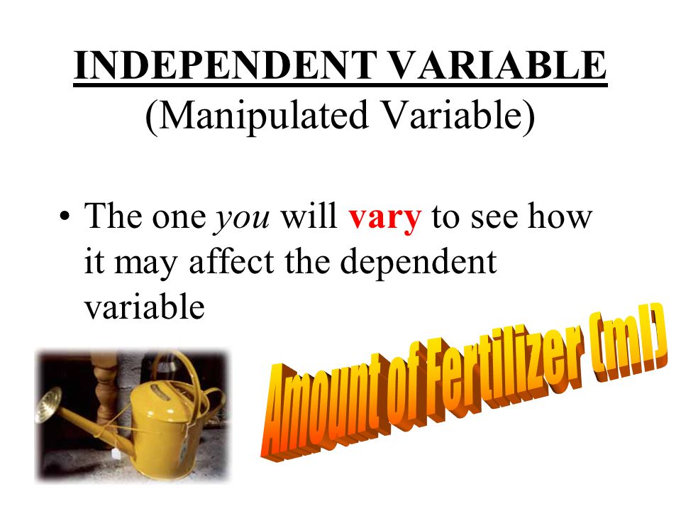 INDEPENDENT VARIABLE (Manipulated Variable) The one you will vary to see how it may affect the dependent variable