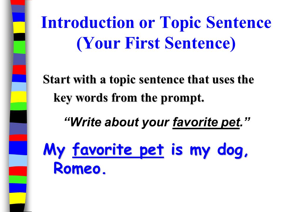 essay dog pet animal essay dog pet animal