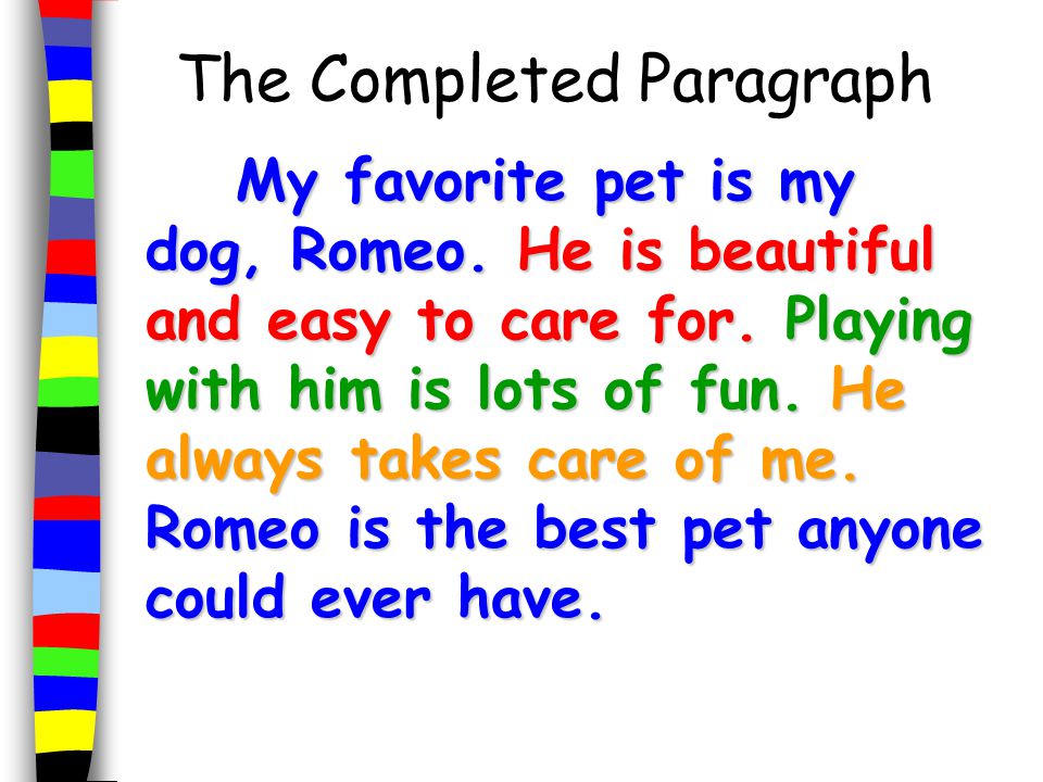 A Dog Essay