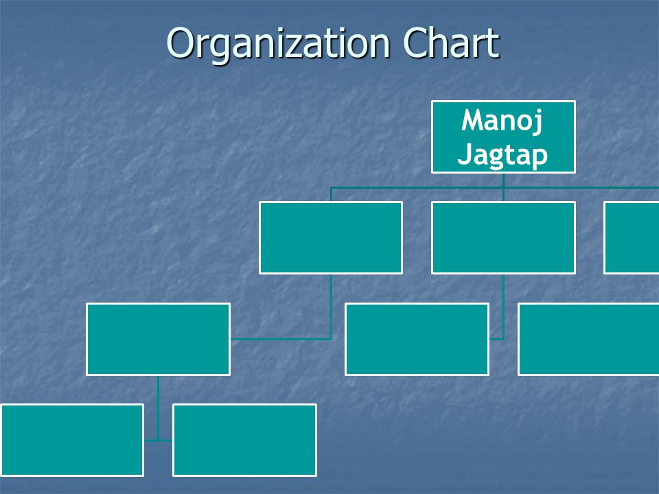 Organization Chart Manoj Jagtap