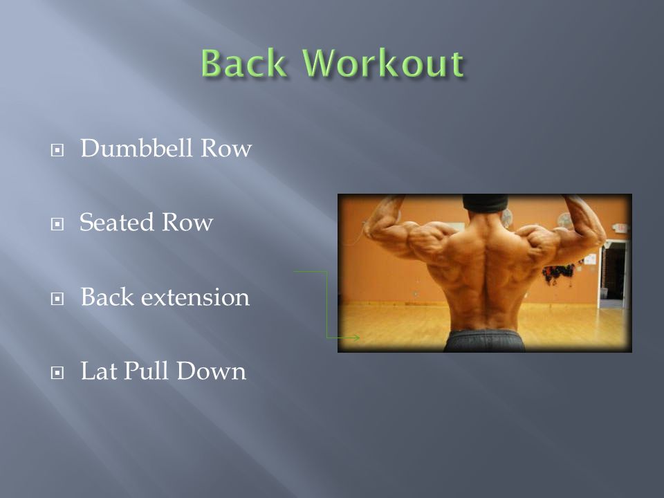  Dumbbell Row  Seated Row  Back extension  Lat Pull Down