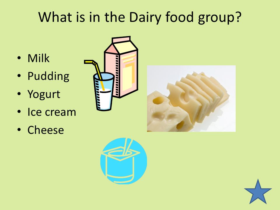 What is in the Dairy food group Milk Pudding Yogurt Ice cream Cheese