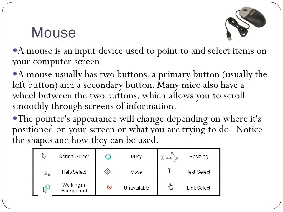 Mouse A mouse is an input device used to point to and select items on your computer screen.