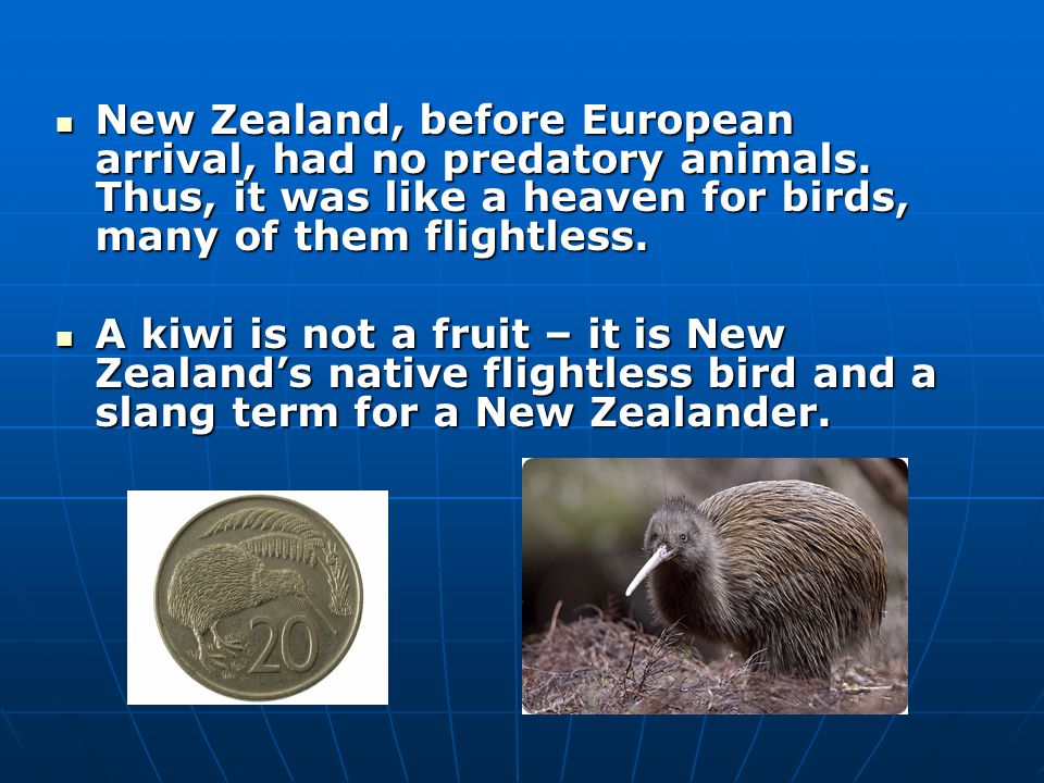 New Zealand, before European arrival, had no predatory animals.
