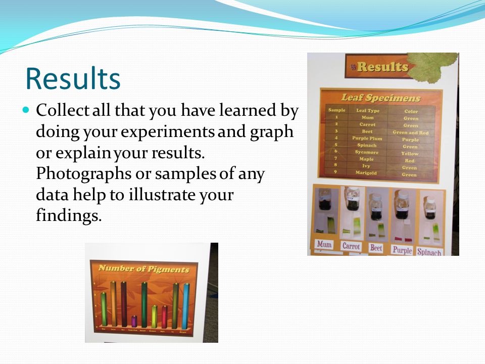Results Collect all that you have learned by doing your experiments and graph or explain your results.