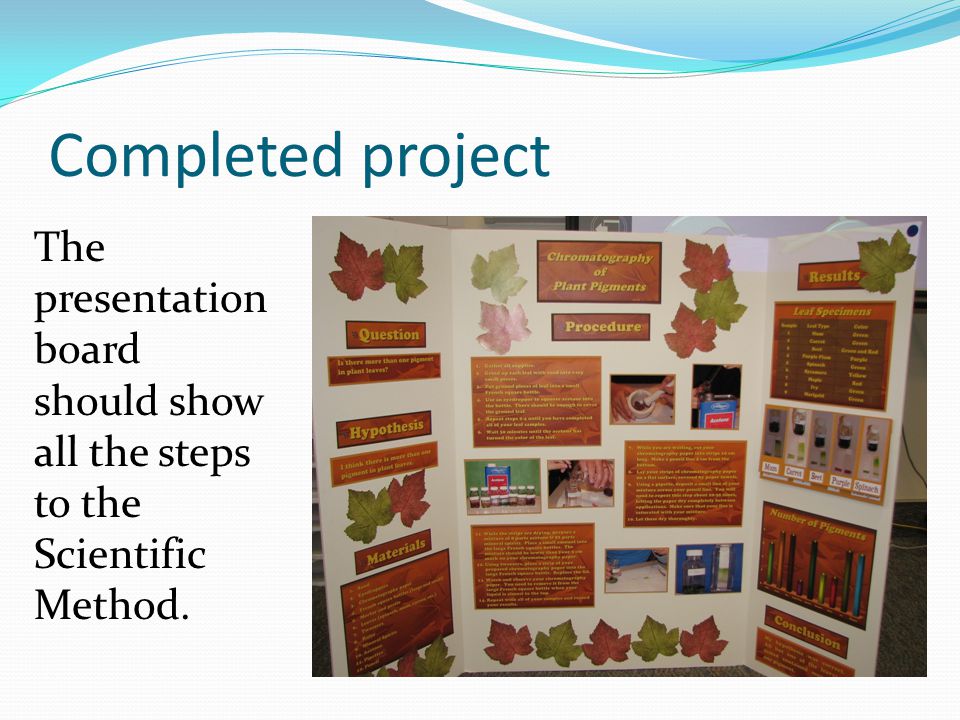 Completed project The presentation board should show all the steps to the Scientific Method.