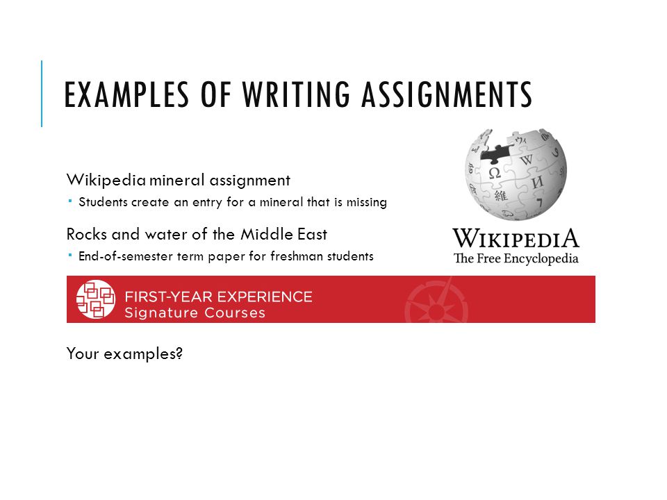 Assignment University