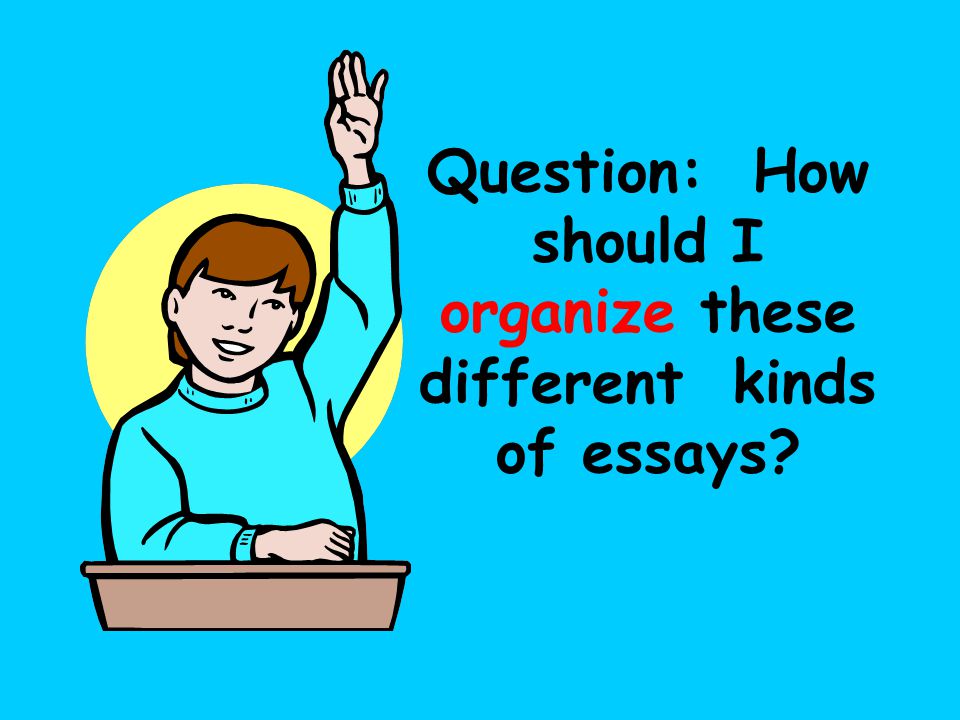 different kinds of personality essay different kinds of personality essay