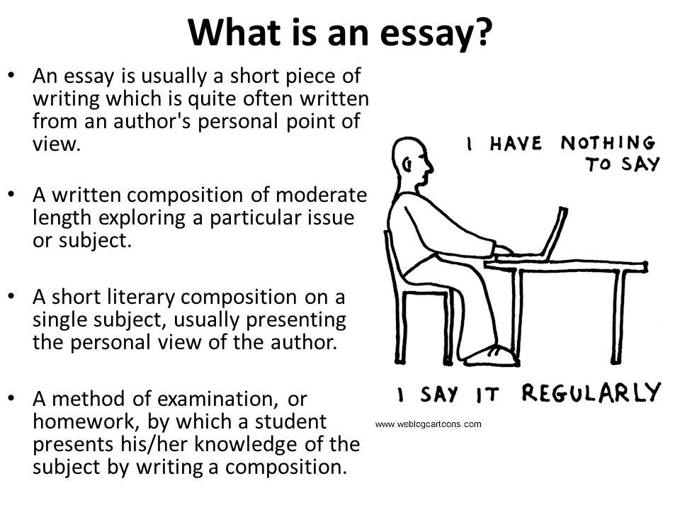 can essay be written in first person.jpg