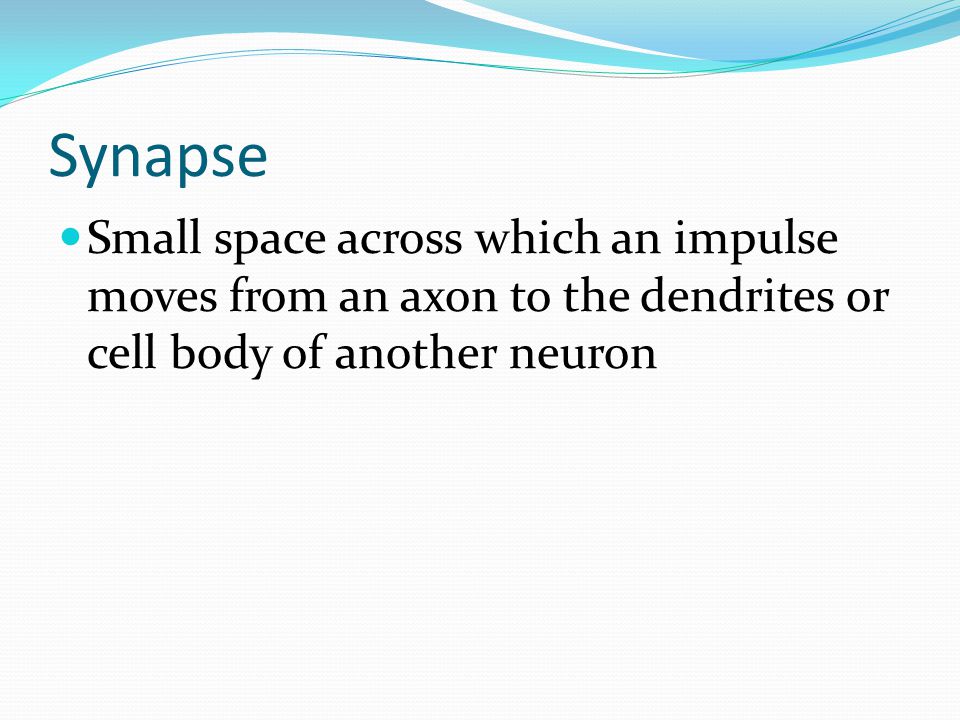 Synapse Small space across which an impulse moves from an axon to the dendrites or cell body of another neuron