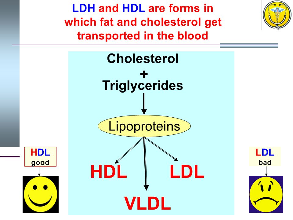 Cholesterol + Triglycerides Lipoproteins VLDL HDLLDL LDH and HDL are forms in which fat and cholesterol get transported in the blood HDL good LDL bad