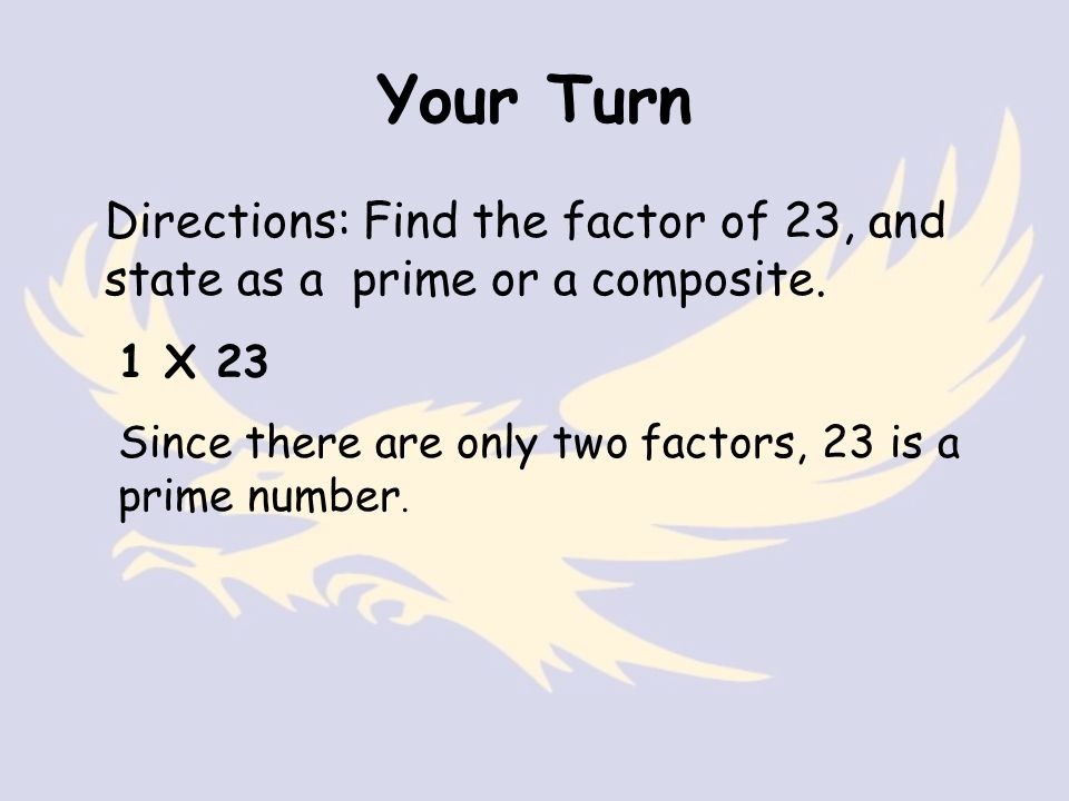 Your Turn Directions: Find the factor of 23, and state as a prime or a composite.