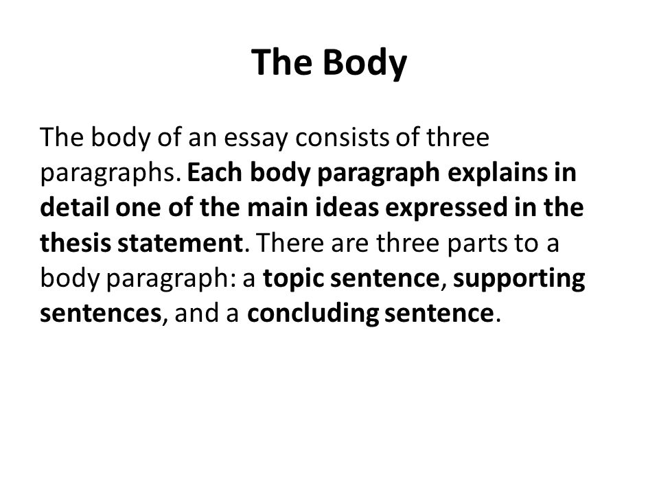 four main parts of an essay An essay is, generally, a piece arrange the parts, consider the language the main idea of all the criticism is to provide an opinion either of positive or. four main parts of an essay An essay is, generally, a piece arrange the parts, consider the language the main idea of all the criticism is to provide an opinion either of positive or.