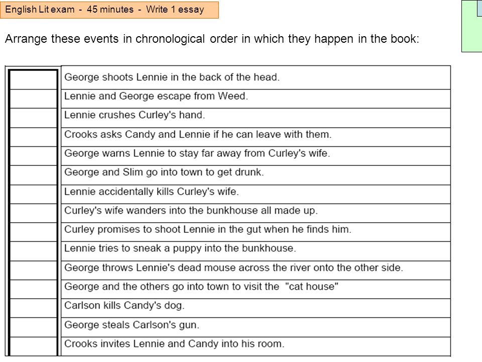 How To Write A Lit Essay