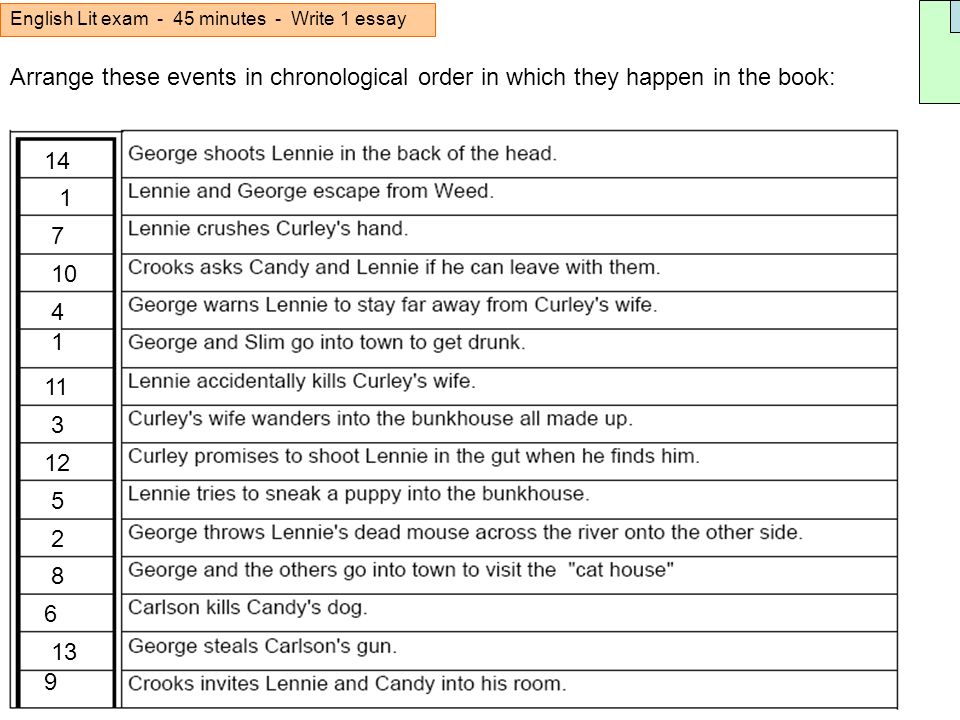 dogs and cats compare and contrast essay