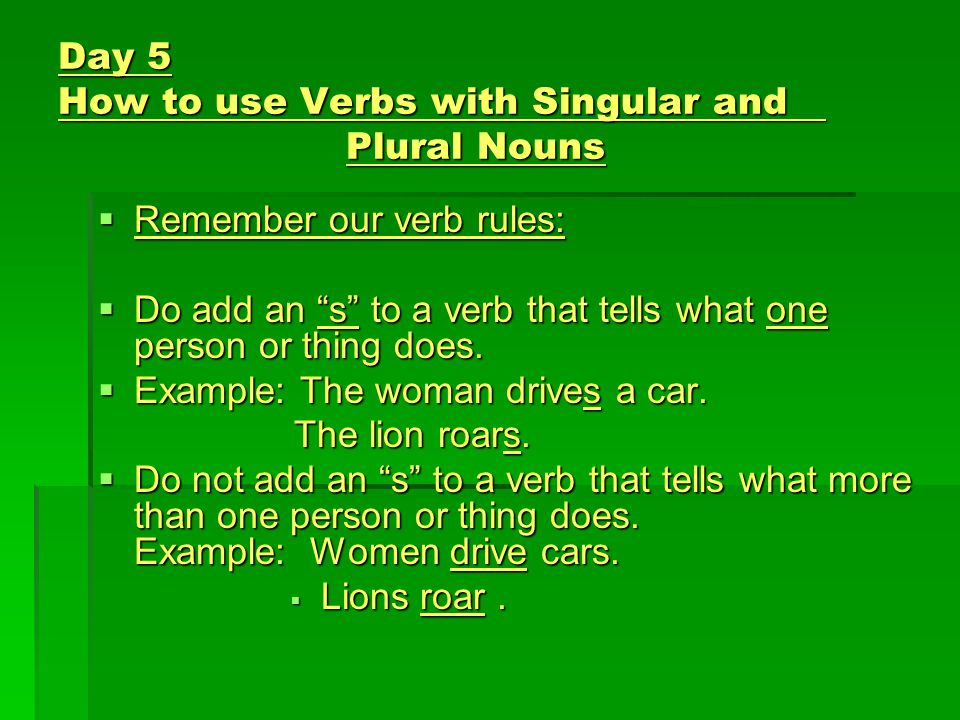 Day 4 How to use Verbs with Singular and Plural Nouns  Directions: Choose the verb that makes sense in each sentence.