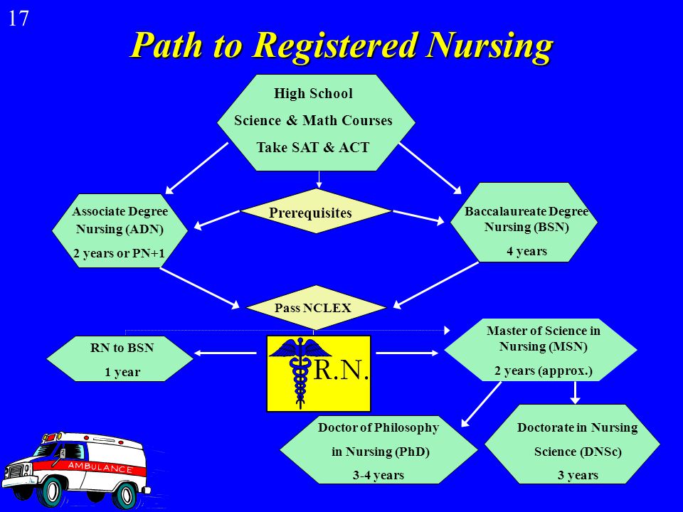 Average Hourly Pay for Kentucky Hospital Nurses 1/06 16 Licensed Practical Nurse$15.52 Nurse Practitioner$35.38 Certified Registered Nurse Anesthetist $77.02