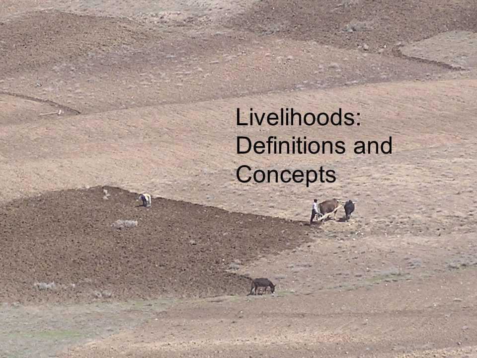 Livelihoods: Definitions and Concepts